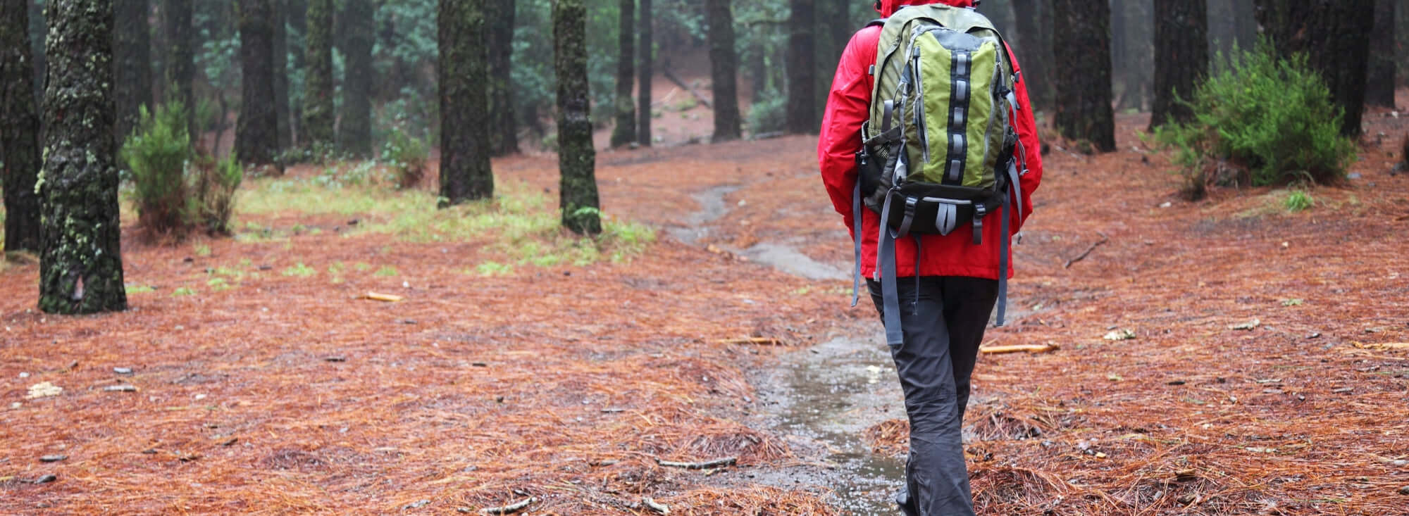 Damen Regenhosen und Hardshellhosen