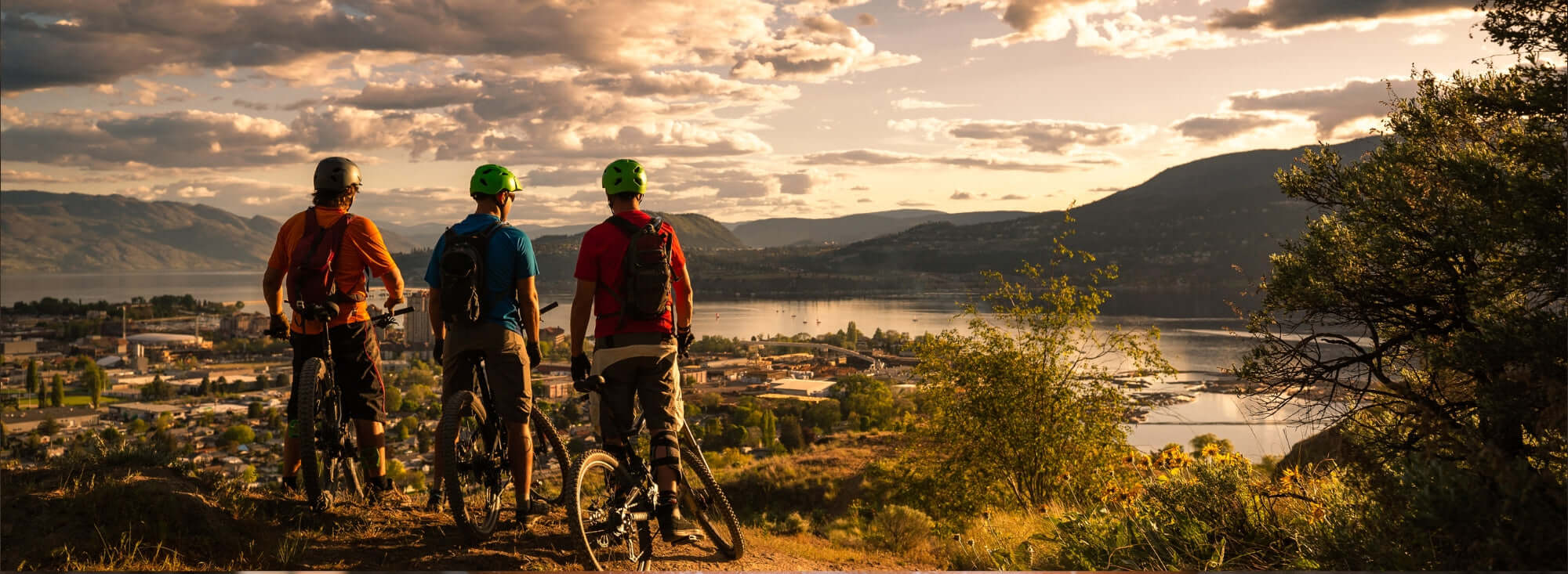 Hygiene, Reinigung und Erste Hilfe