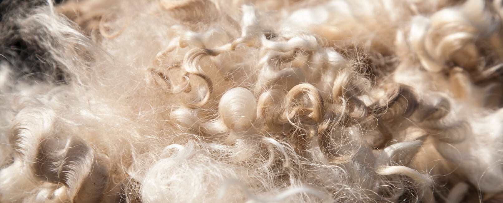 Damen Wollpullover und Wolljacken