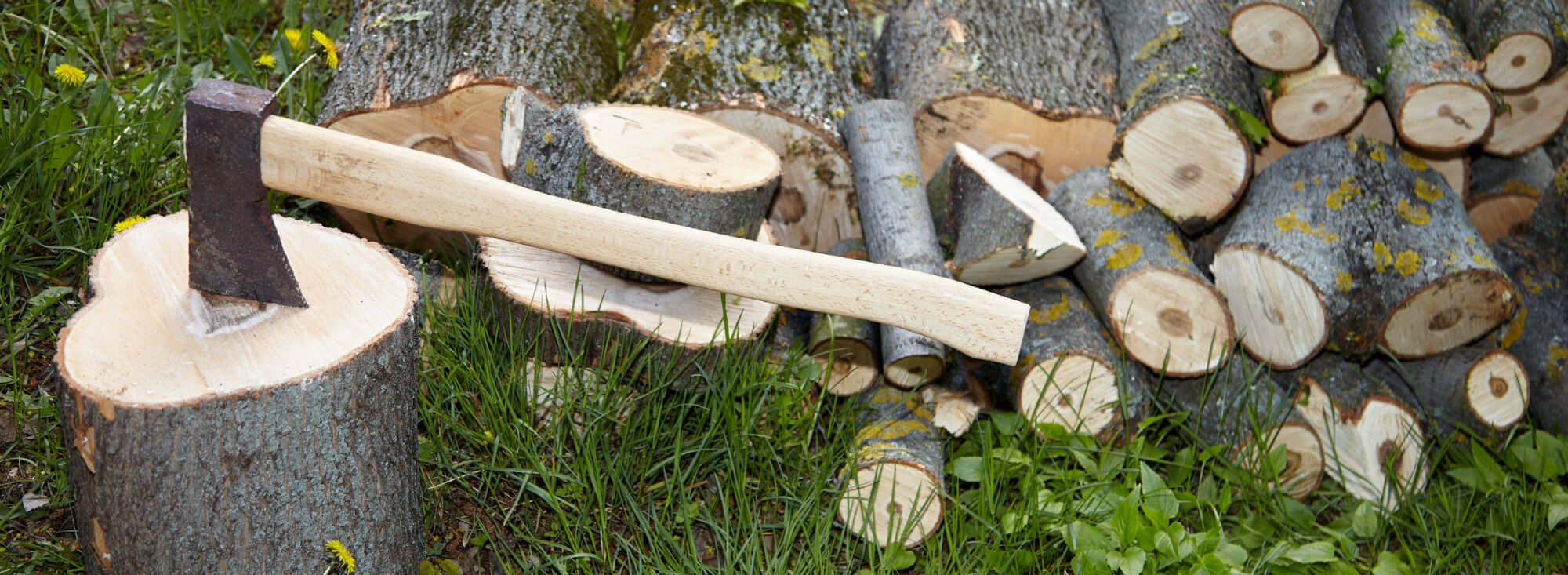 Äxte und Sägen