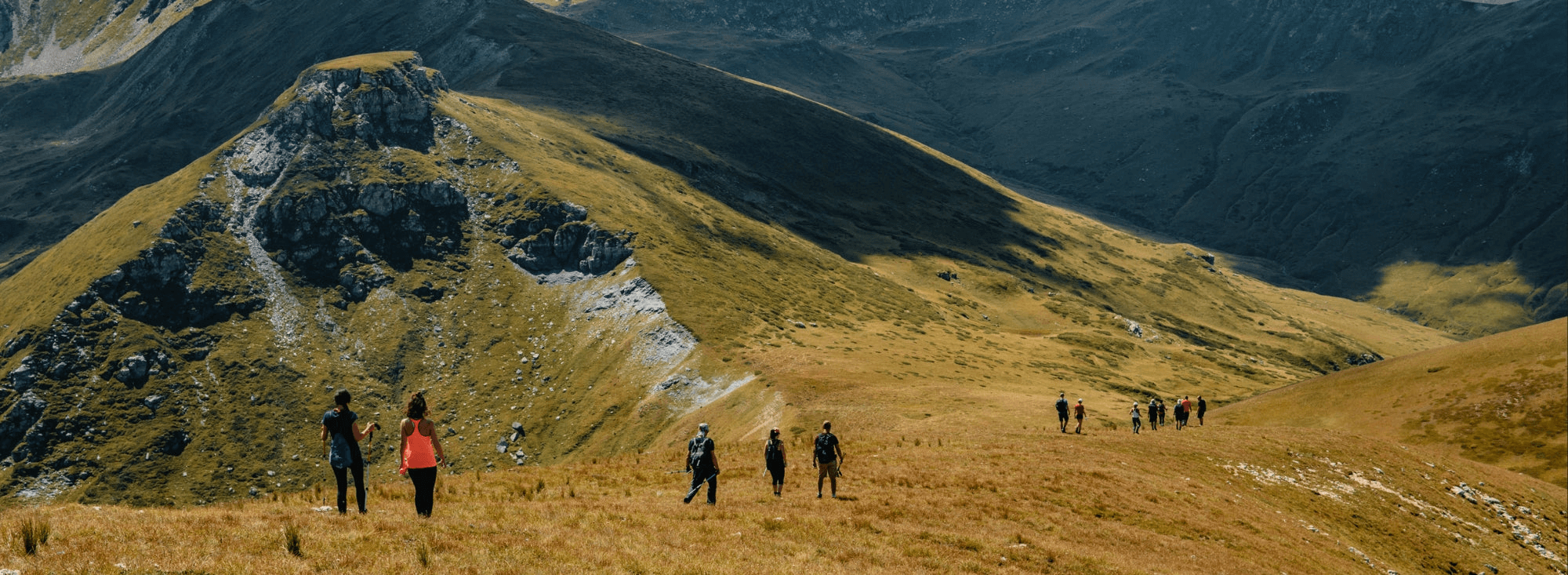 Damen Pullover und Fleece