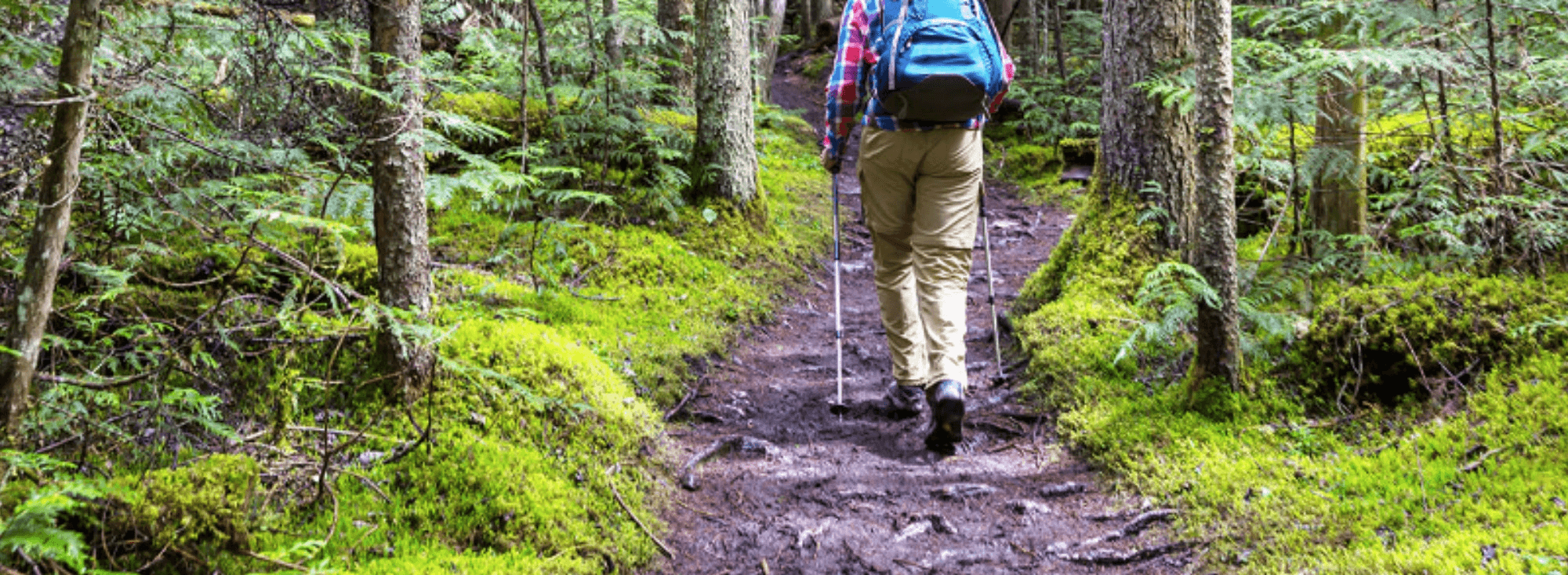 Damen Wanderhosen & Softshellhosen