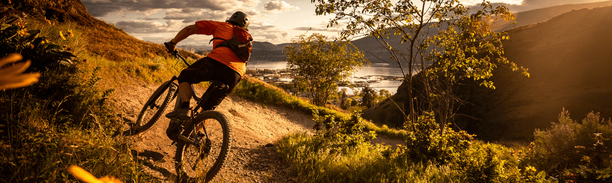 Fahrradtaschen & Fahrradrucksäcke