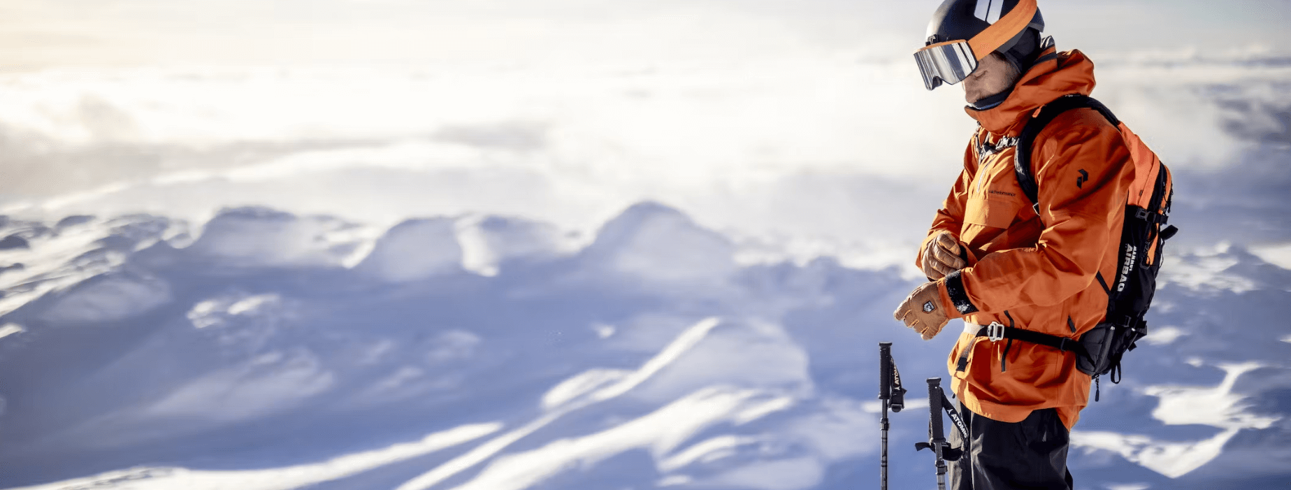 Skihandschuhe