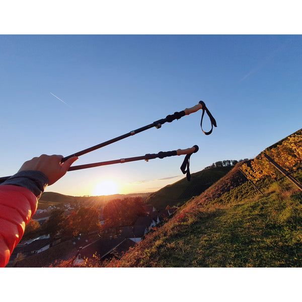 Origin Outdoors Trekkingstöcke Micro-Fold