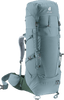 shale-ivy