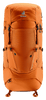 chestnut-umbra