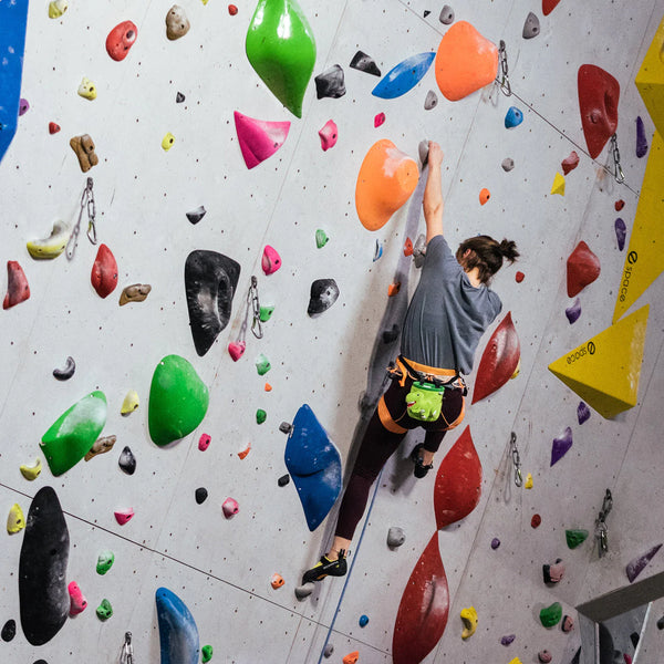 Chalk Bag - T-Rex - Auf und Davon | Outdoor Equipment