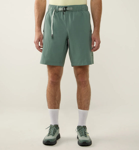 chlorophyll green