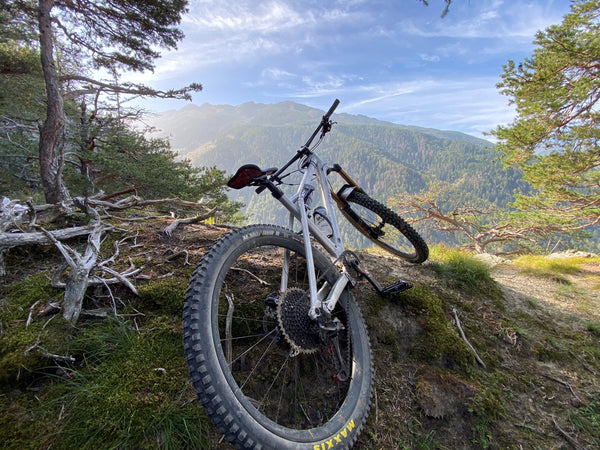 Bike-Fahrtechnik Advanced + Trail-Erlebnis | Ganztags