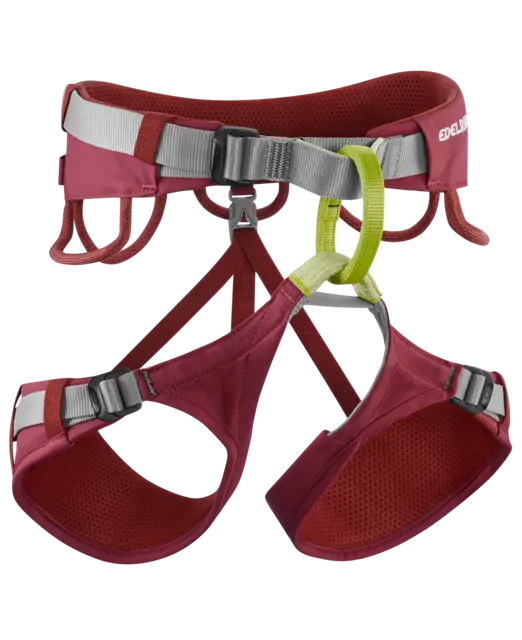 Edelrid Jayne IV Klettergurt rhubarb red Damenklettergurt Damen rot Auf und Davon Outdoor Equipment