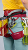 Edelrid Jayne IV Klettergurt rhubarb red Damenklettergurt Damen rot Auf und Davon Outdoor Equipment