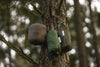 olive drab