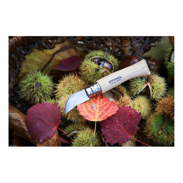 No 7 Taschenmesser - Kastanienholz - Auf und Davon | Outdoor Equipment