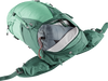 spearmint-seagreen