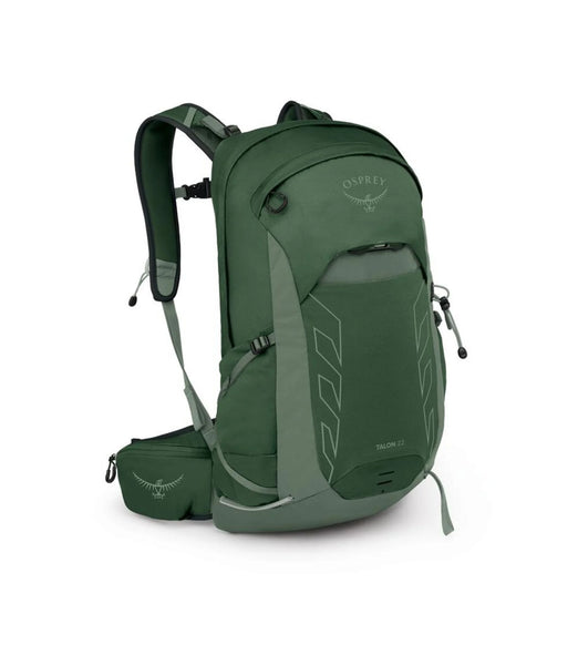 green canopy pine leaf