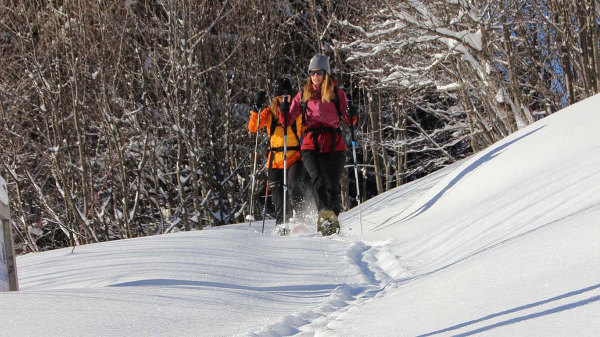 Packliste Winterwandern – Wanderer im verschneiten Wald