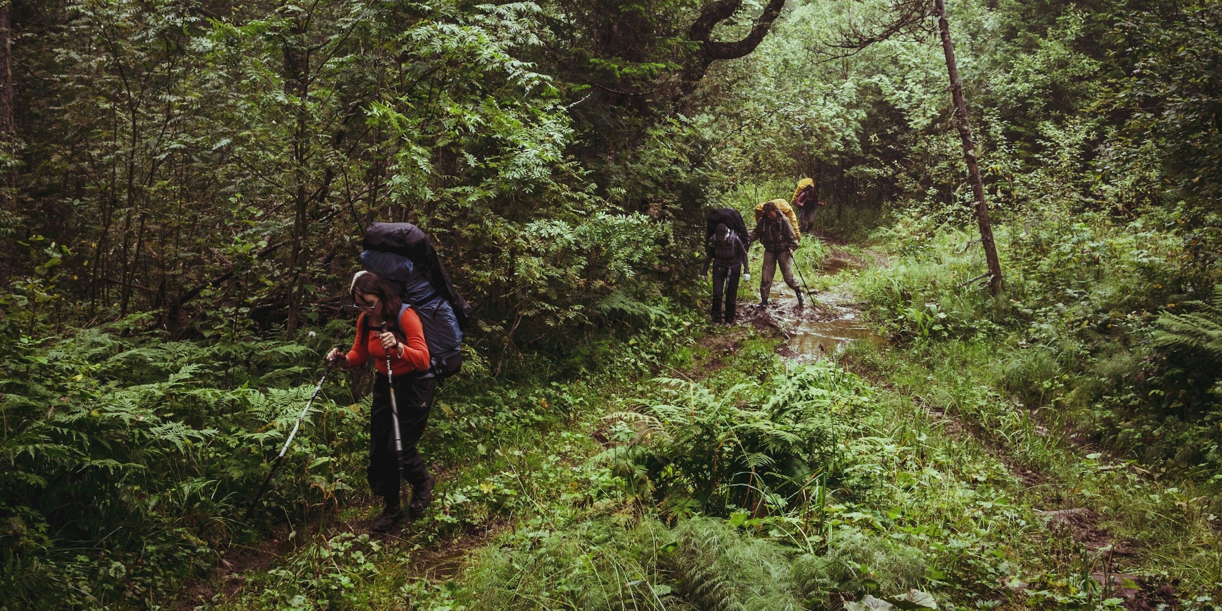 Wanderer in langer Kleidung mit Rucksäcken auf einem Pfad durch dichten, feuchten Wald