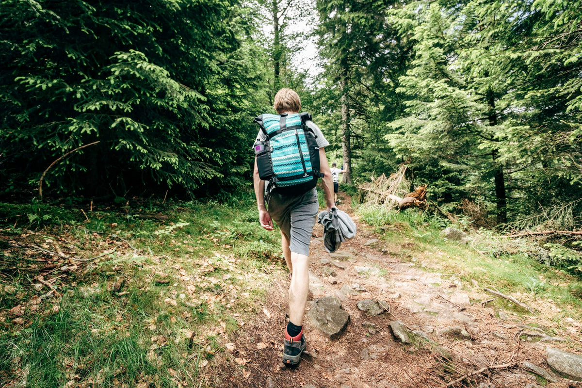 Wanderer mit Rucksack auf einem Waldpfad durch Nadelwald im Mittelgebirge