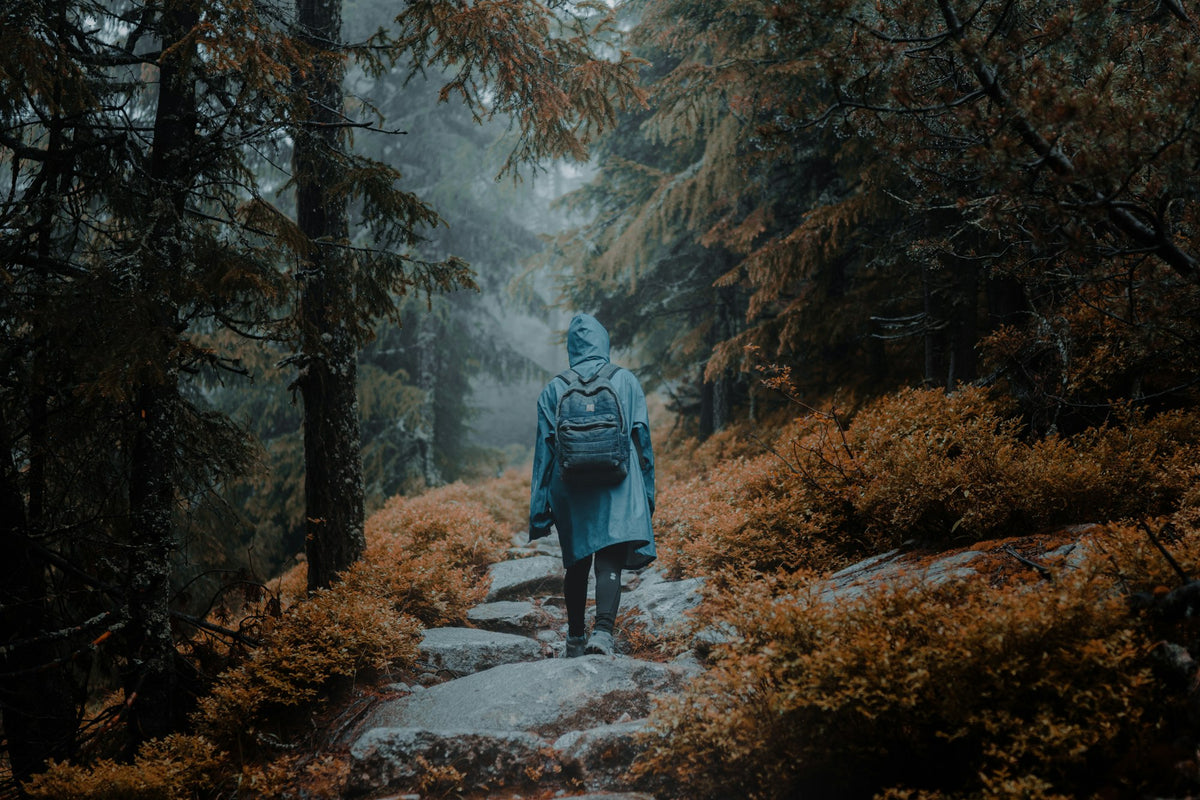 Wanderin in blauer Regenjacke mit Rucksack auf einem Waldweg im Herbst