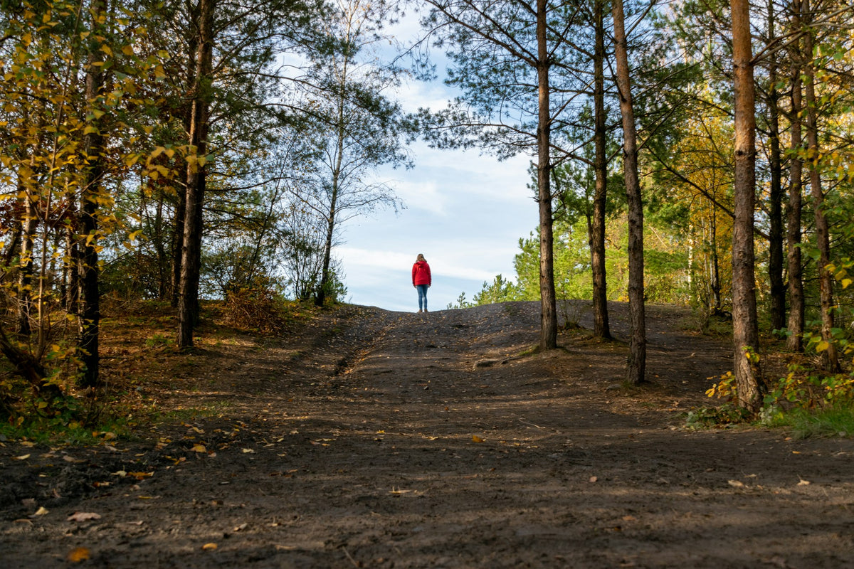 Wanderer in roter Jacke auf einem herbstlichen Waldweg