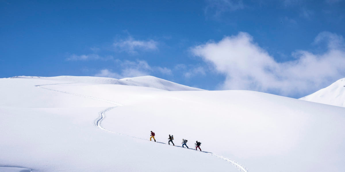 Gruppe von Skitourengehern beim Aufstieg mit Fellen im Schnee unter blauem Himmel in den Alpen