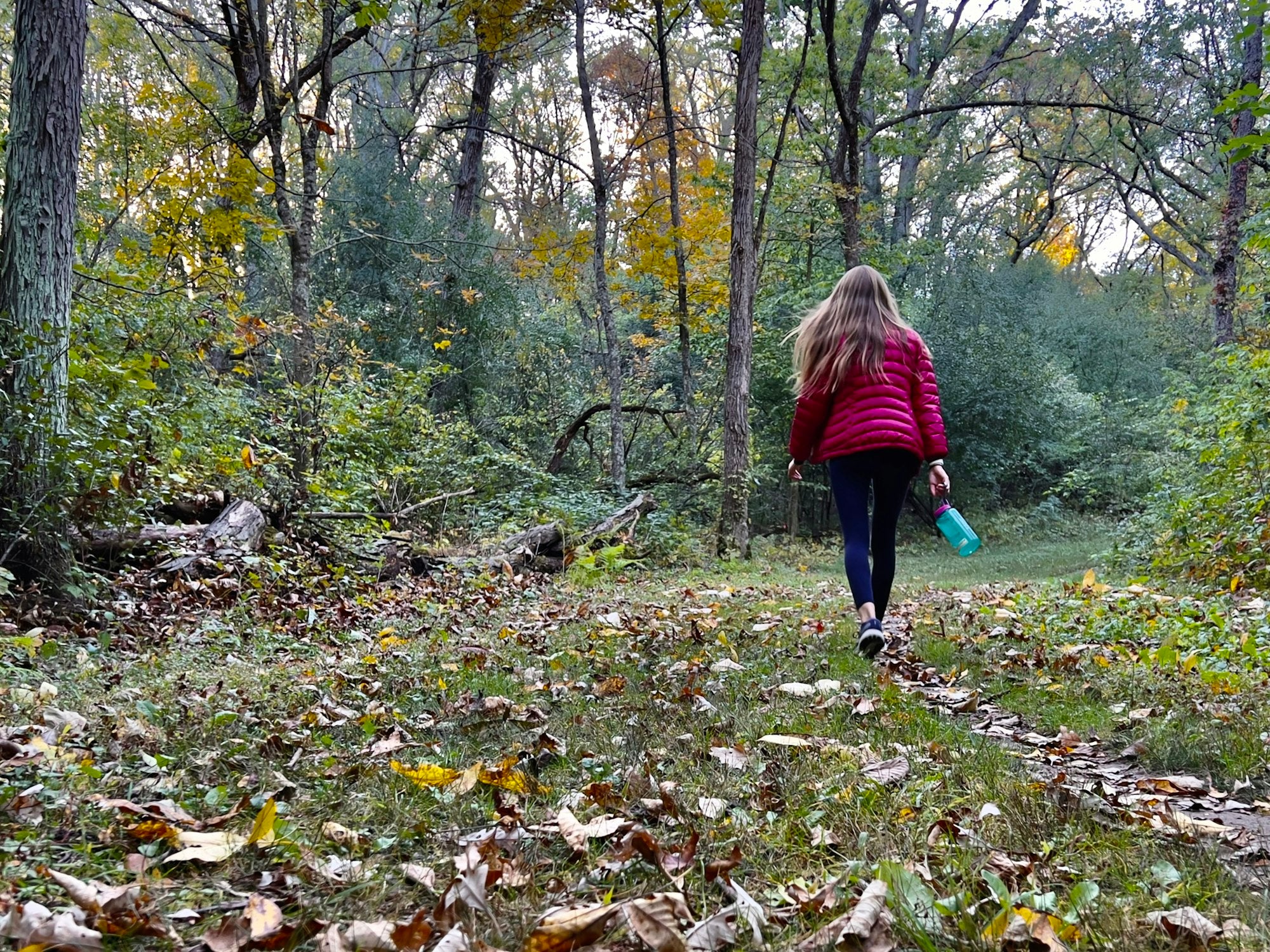 Wanderin mit roter Jacke auf einem Waldweg im Herbst