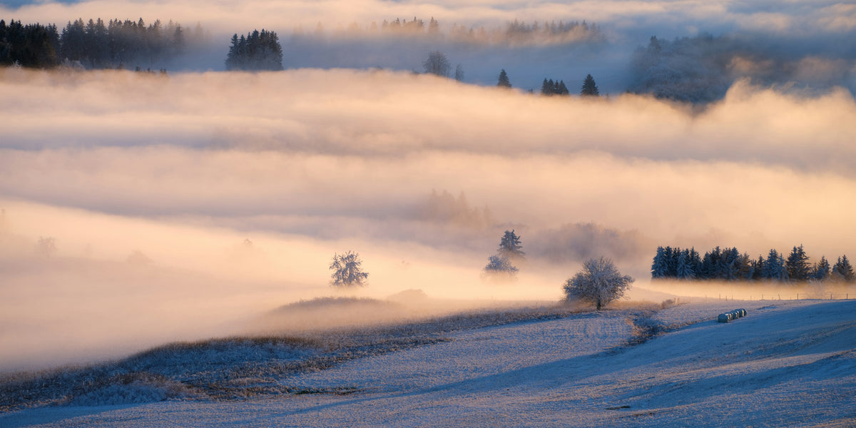 Verschneite Kuppe der Wasserkuppe in der Rhön mit Bäumen im Nebel und Abendlicht