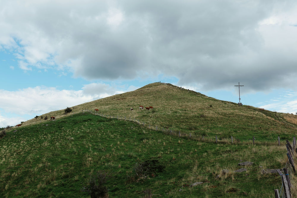 Von der Rhön bis in die Alpen