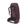 elderberry purple