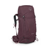 elderberry purple