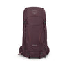 elderberry purple