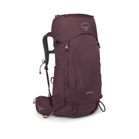 elderberry purple