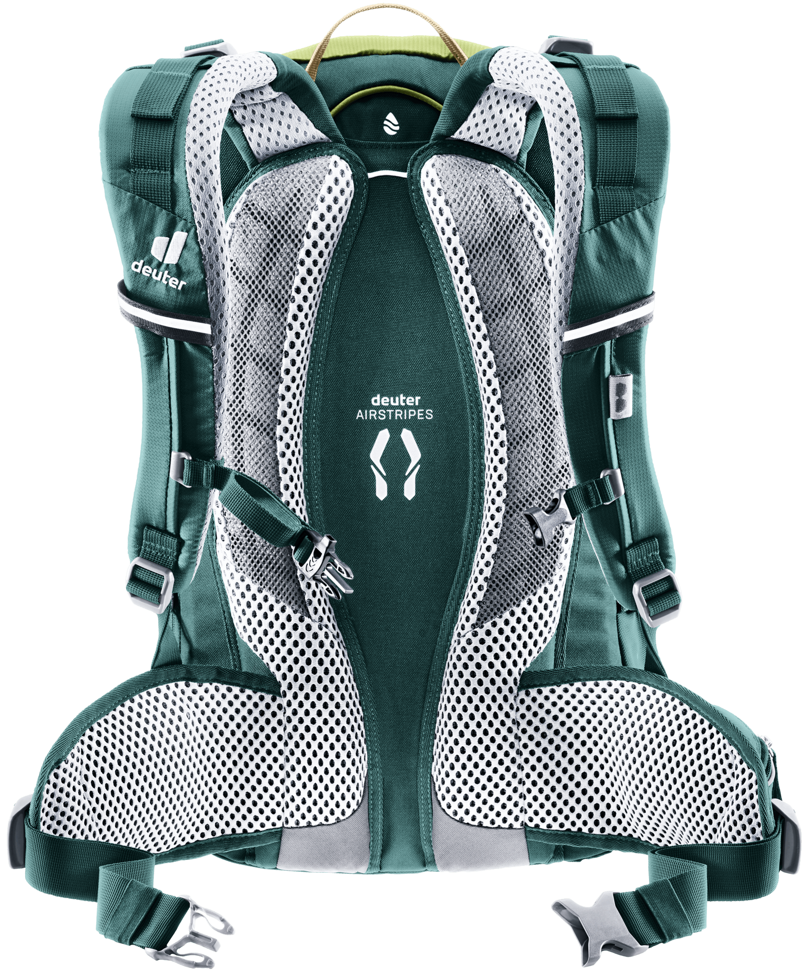 Trans Alpine 24