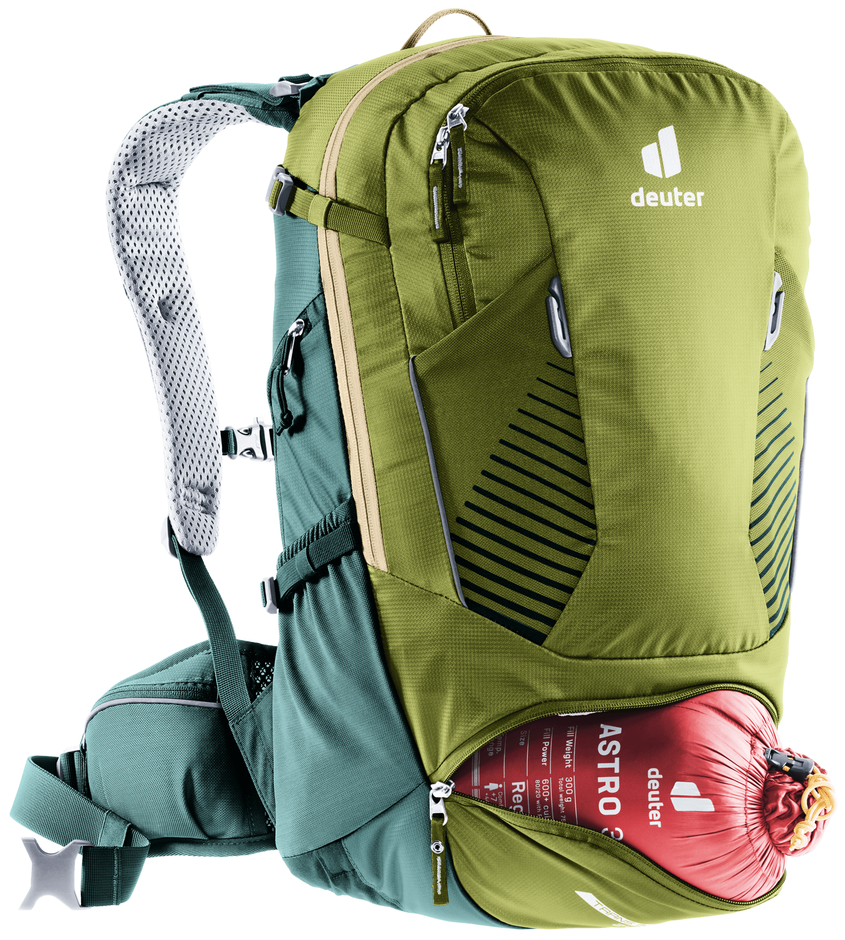 Trans Alpine 24