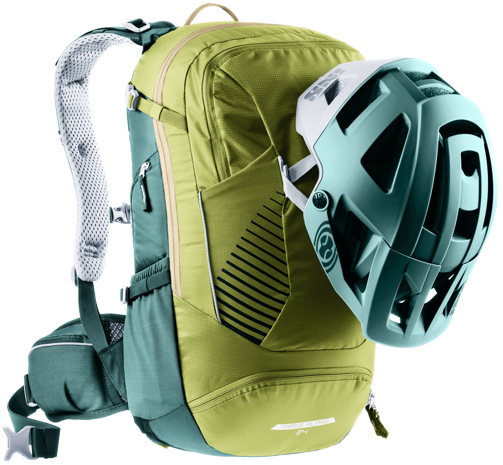 Trans Alpine 24