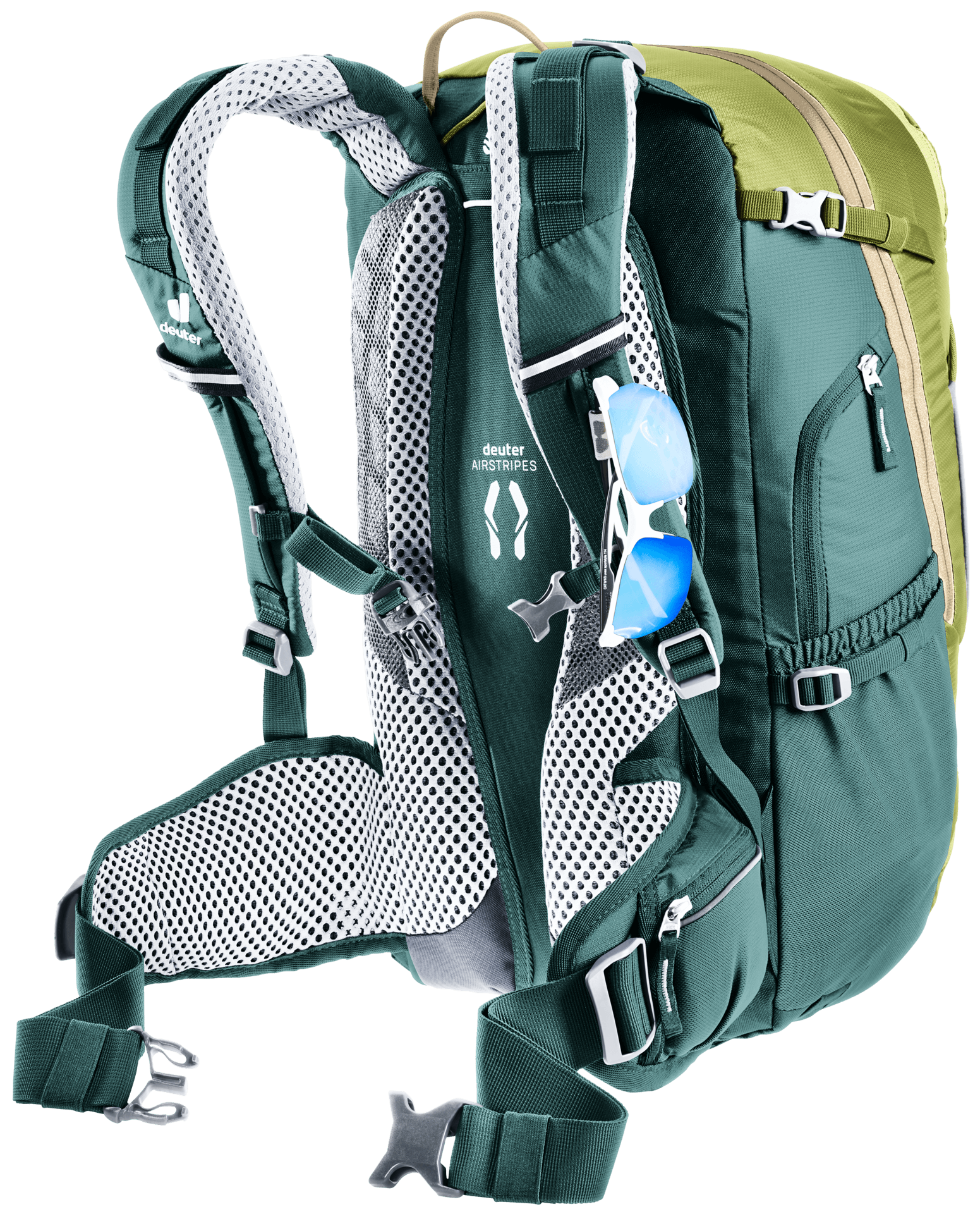 Trans Alpine 24