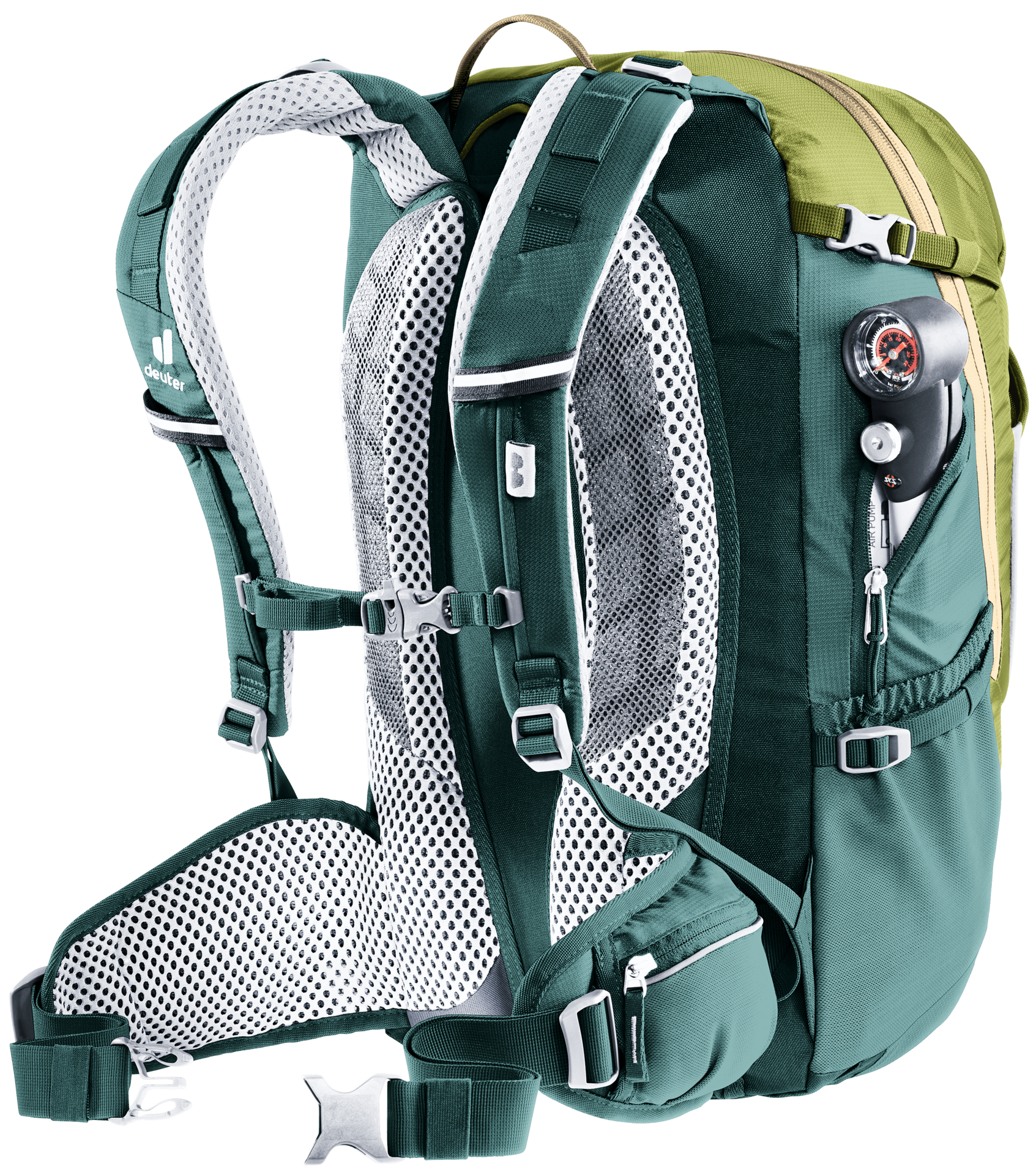 Trans Alpine 24
