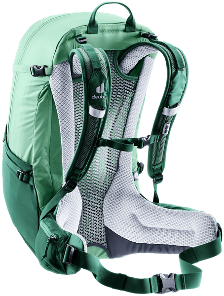 spearmint-seagreen