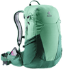 spearmint-seagreen