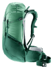 spearmint-seagreen