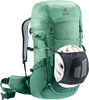 spearmint-seagreen
