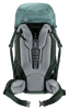 jade-ivy