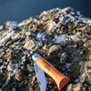 Opinel N°06 Carbon Buche