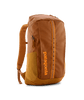 cinnamon brown