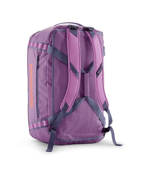 brisk purple