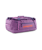 brisk purple