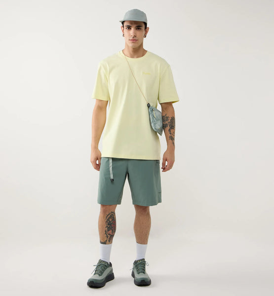 chlorophyll green