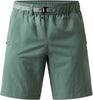 chlorophyll green
