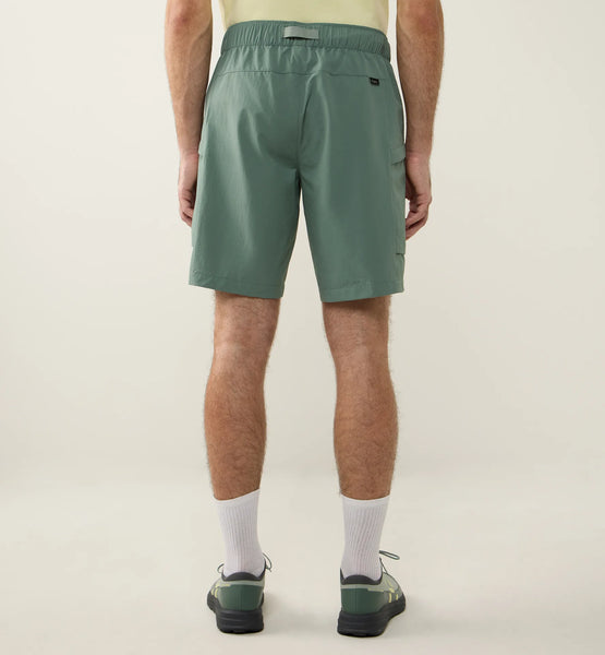 chlorophyll green